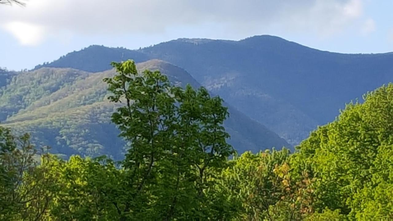 Mountain Serenity Gatlinburg Esterno foto